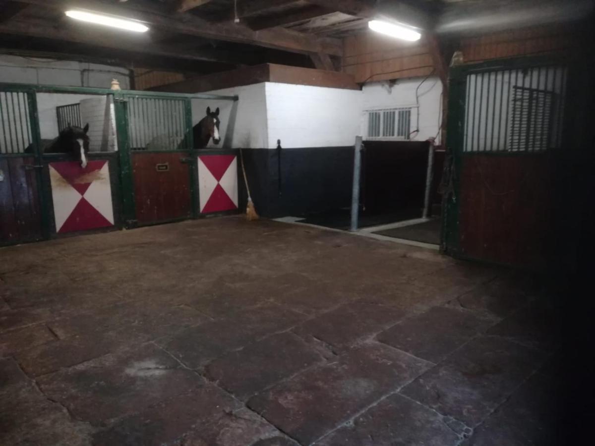 Erve Het Roolvink Boerderij Appartementen 40-50 M2 Enschede Extérieur photo