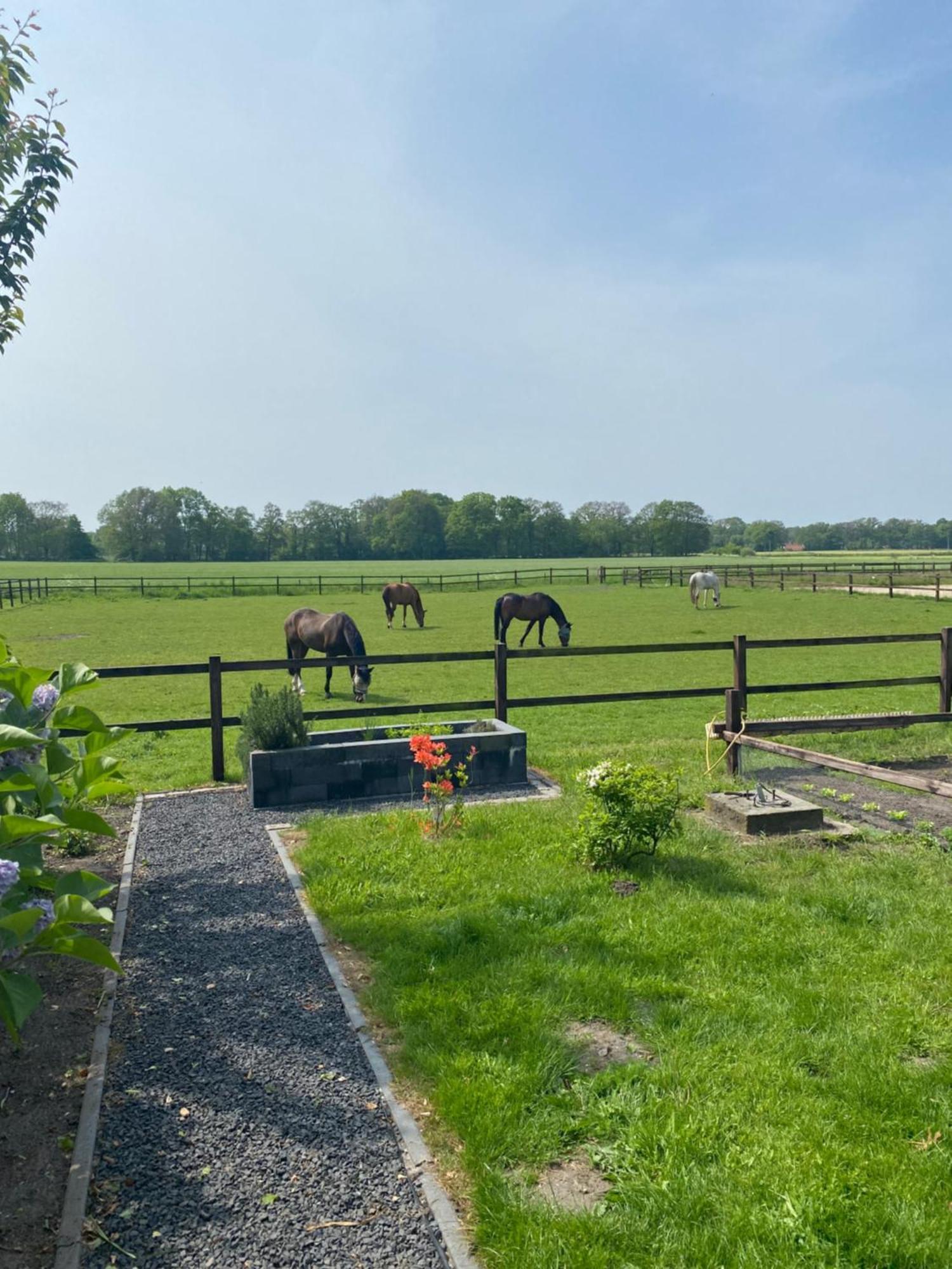 Erve Het Roolvink Boerderij Appartementen 40-50 M2 Enschede Extérieur photo